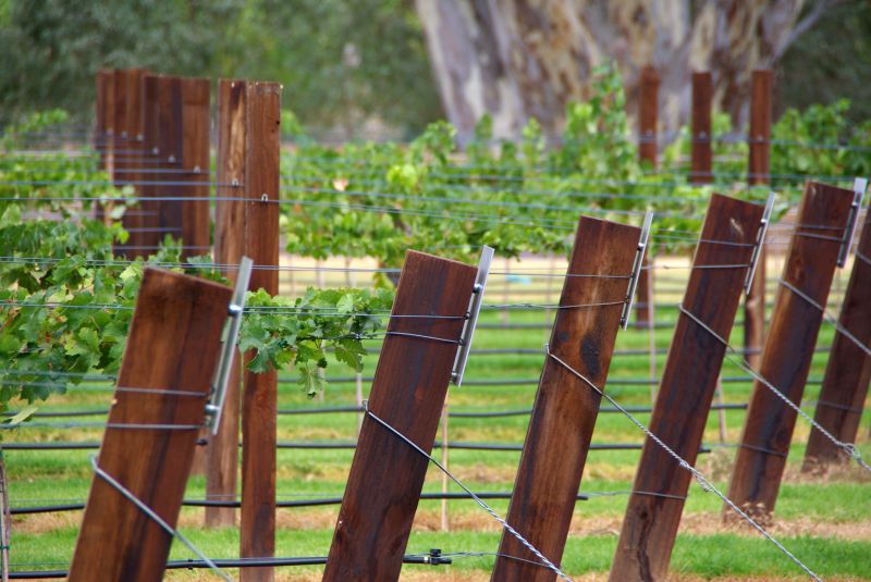 Garden Trellis Installation in Conroe, TX