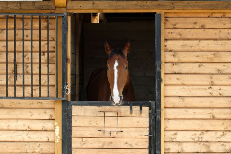 Horse Stall Repair in Alpharetta, GA