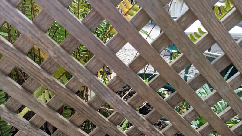 Wood Trellis Installation in Wilmington, NC