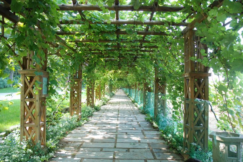 Garden Trellis Installation in Kansas City, KS
