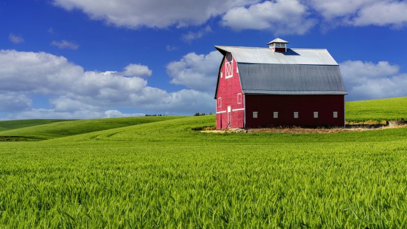 Livestock Barn Construction in Wilmington, NC