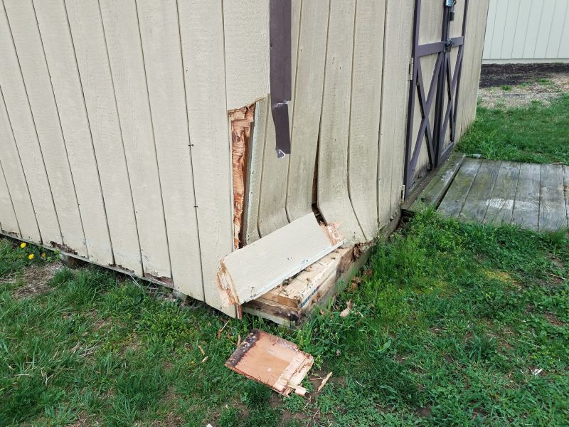 Shed Roof Repair in Alpharetta, GA