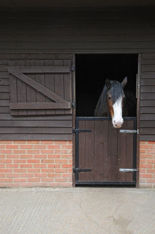 Stable Repair in Alpharetta, GA