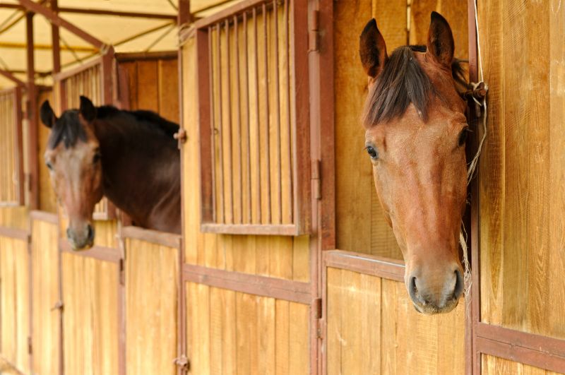 Stable Repair in Alpharetta, GA
