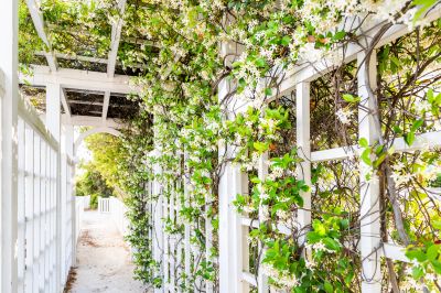 Trellis Construction in Conroe, TX