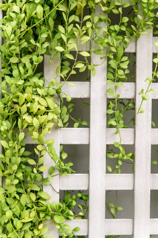 Trellis Fence Construction in Wilmington, NC